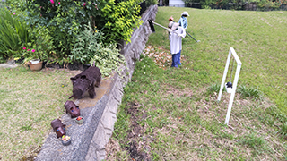 屋外アート全景